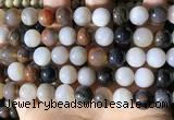 CWJ572 15.5 inches 12mm round Arizona petrified wood jasper beads