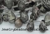 CZJ16 16 inches 8*12mm teardrop zebra jasper gemstone beads wholesale