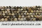 CZJ422 15.5 inches 8mm round Australian zebra jasper beads wholesale