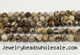 CZJ423 15.5 inches 10mm round Australian zebra jasper beads wholesale