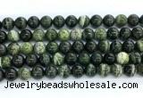 CZJ573 15.5 inches 10mm round green zebra jasper gemstone beads