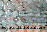 FGBS12 15 inches 12mm faceted Four leaf clover blue chalcedony beads