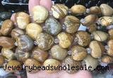 HGBS54 15 inches 20mm heart picture jasper gemstone beads wholesale