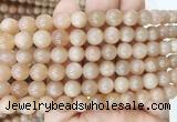 MSBS17 15 inches 8mm round moonstone gemstone beads wholesale