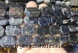 NGBS186 15 inches 10*14mm - 12*16mm freeform iolite beads