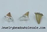 NGP2496 15*18mm - 18*20mm shark teeth pendants wholesale