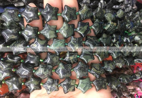 RGBS30 15 inches 16mm star kambaba jasper gemstone beads