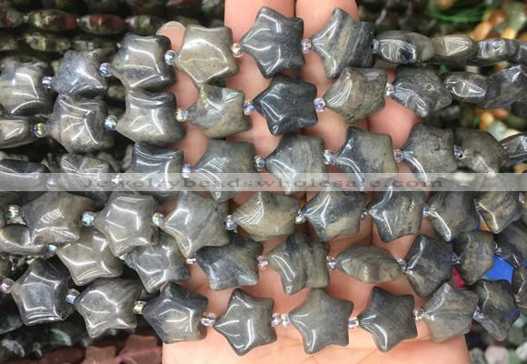 RGBS36 15 inches 16mm star coffee jasper gemstone beads wholesale